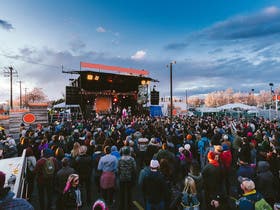 Treefort Music Festival home performer