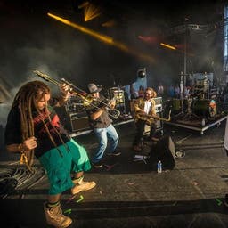 Tribal Seeds