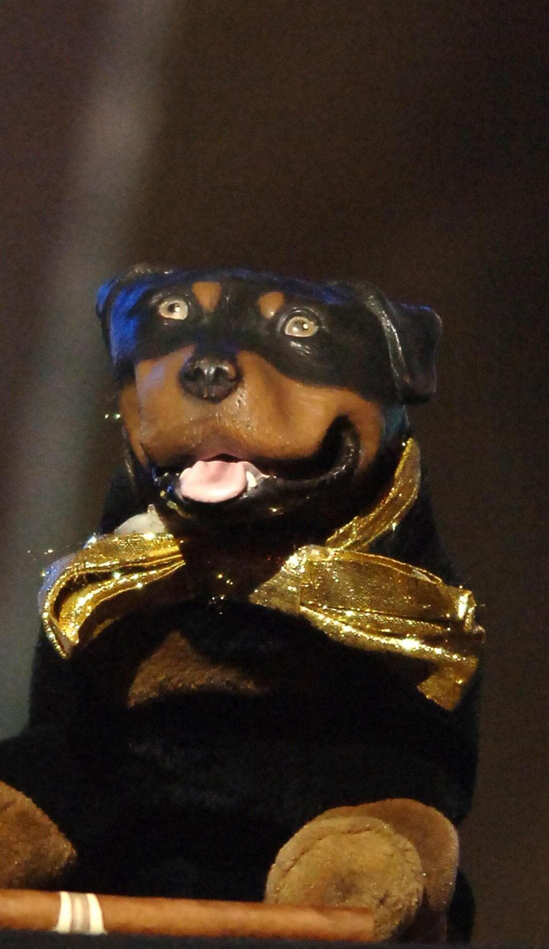 Triumph the Insult Comic Dog promotional image for upcoming events and ticket sales