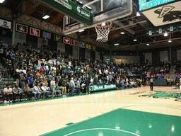 Tulane Green Wave Womens Basketball