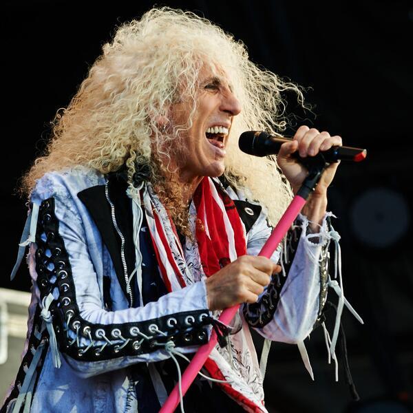 Twisted Sister image