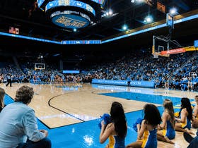 UCLA Bruins Womens Basketball