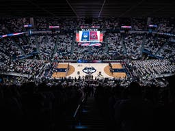 UConn Huskies Womens Basketball
