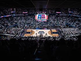 UConn Huskies Womens Basketball