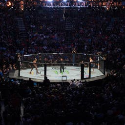 UFC