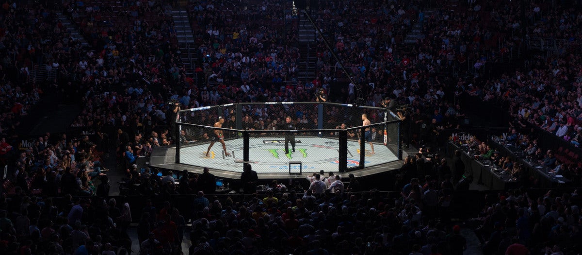 UFC 335