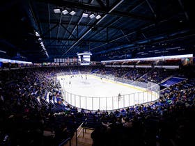 UMass Lowell River Hawks Mens Hockey