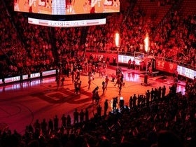Utah Utes Womens Basketball