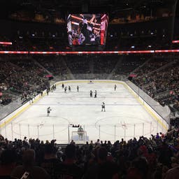 Vegas Golden Knights