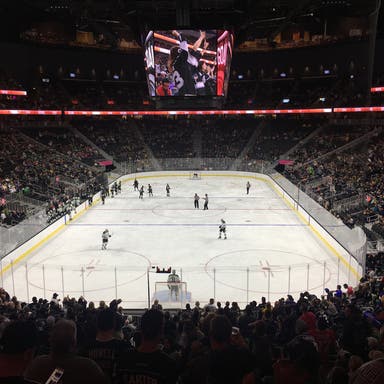 Promotional image of Vegas Golden Knights