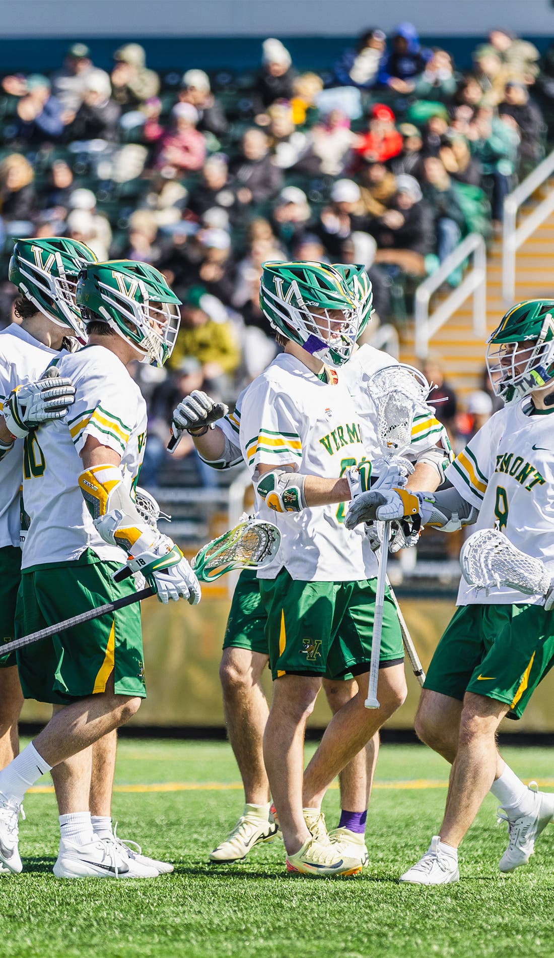 Vermont Catamounts Mens Lacrosse promotional image for upcoming events and ticket sales