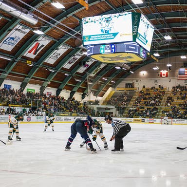 Vermont Catamounts Womens Hockey Tickets 