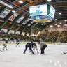 Vermont Catamounts Womens Hockey
