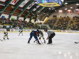 Vermont Catamounts Womens Hockey