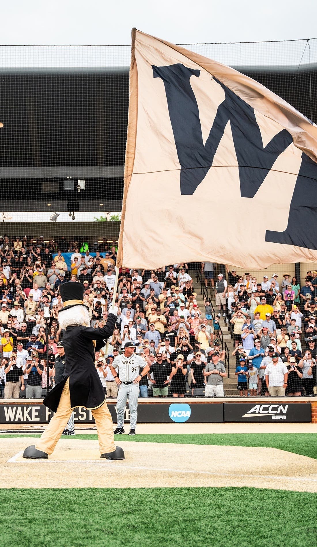 Wake Forest Demon Deacons Baseball promotional image for upcoming events and ticket sales