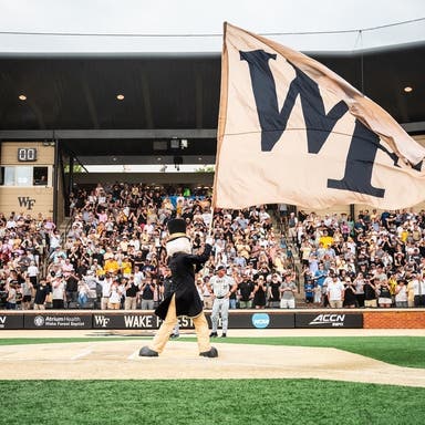 Wake Forest Demon Deacons Baseball Tickets 