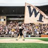 Wake Forest Demon Deacons Baseball