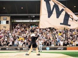 Wake Forest Demon Deacons Baseball