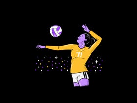 Wake Forest Demon Deacons Womens Volleyball