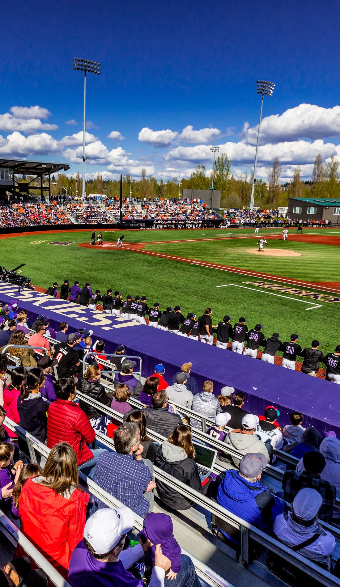Washington Huskies Baseball promotional image for upcoming events and ticket sales