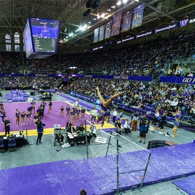 Washington Huskies Womens Gymnastics Tickets 