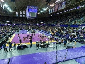 Washington Huskies Womens Gymnastics