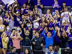 Washington Huskies Womens Volleyball