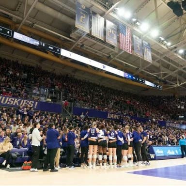 Promotional image of Washington Huskies Womens Volleyball