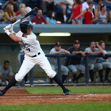 Promotional image of West Michigan Whitecaps