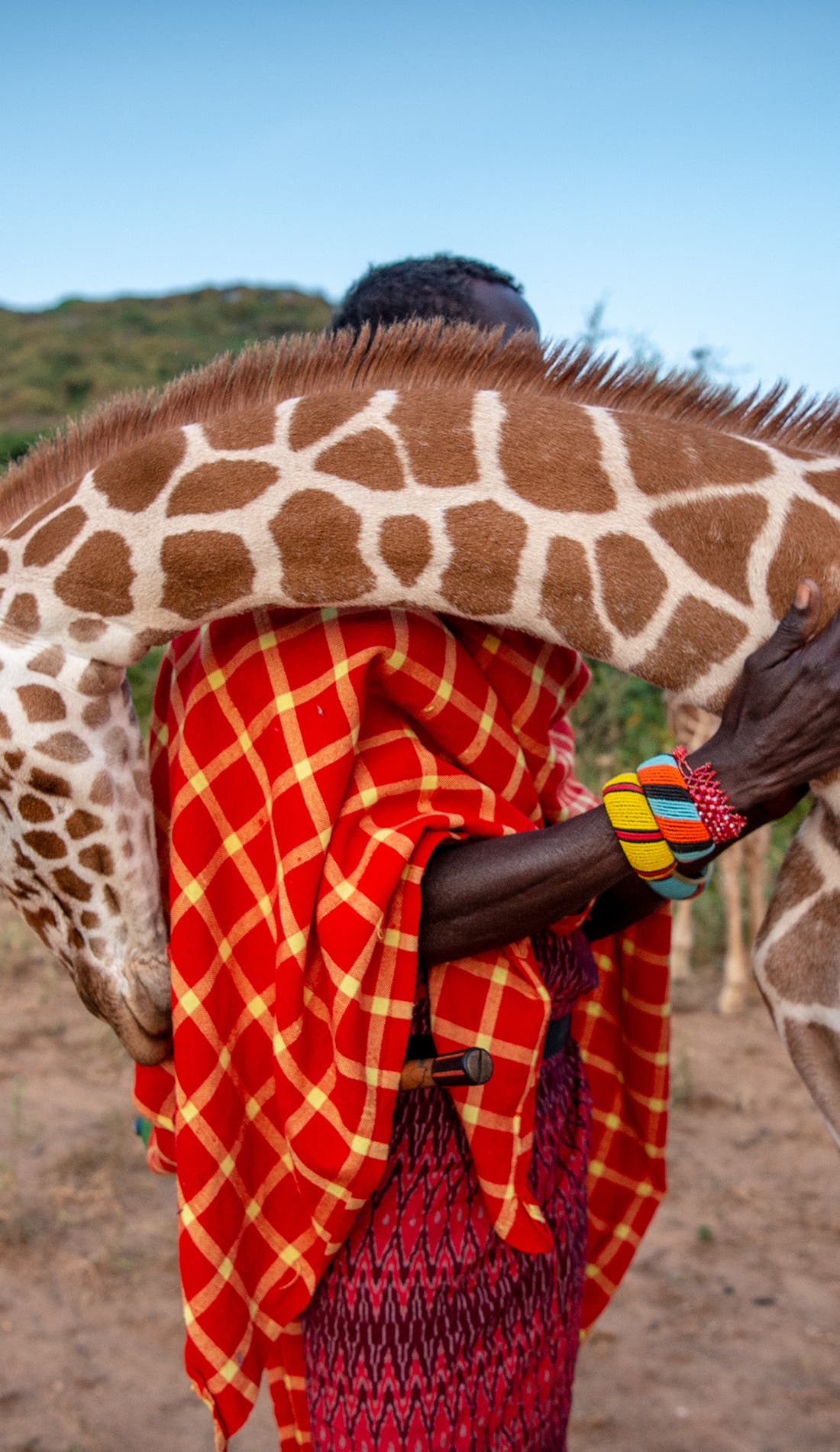 Wild Hope with Photographer Ami Vitale promotional image for upcoming events and ticket sales