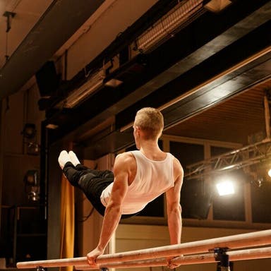 Promotional image of William & Mary Tribe Mens Gymnastics
