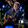 Willie Nelson & Family image