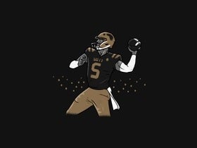 Wofford Terriers Football