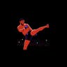 World Fighting Championship