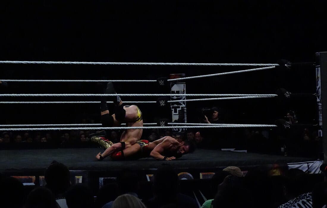 Promotional image for Wrestlepalooza tickets