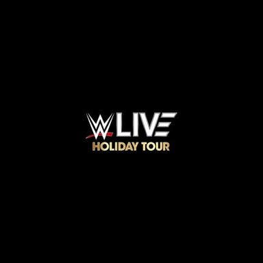 Promotional image of WWE Holiday Tour