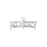 WWE NXT Live