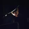 Zhu