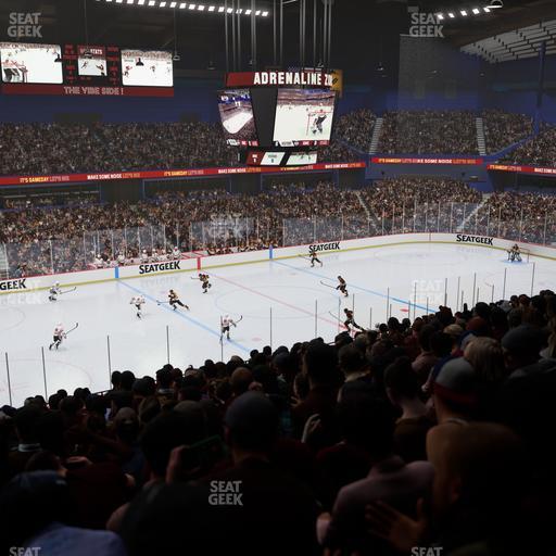 Allstate Arena - Section 204 Seat View