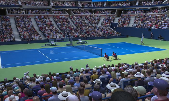 Arthur Ashe Stadium - Section Suite D 14 Seat View