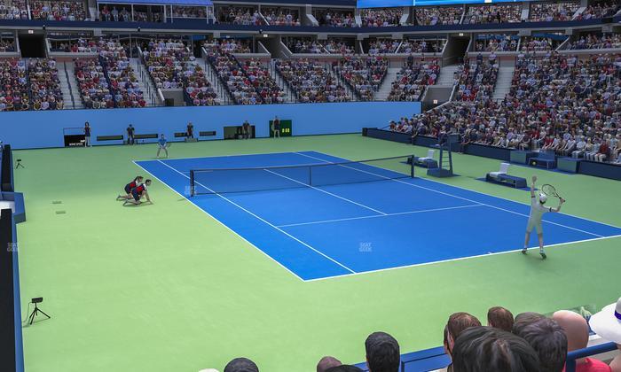 Arthur Ashe Stadium - Section Suite D 31 Seat View