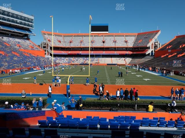 Ben Hill Griffin Stadium - Section D Seat View