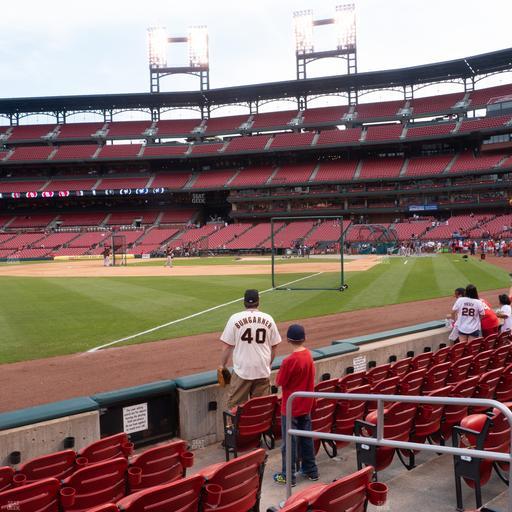 Busch Stadium - Section Dugout Box 165 Seat View
