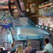 Aperçu de Chase Center - Section 101 Seat View