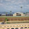 Aperçu de Del Mar Thoroughbred Club - Section Stretch Run Box 7 D Lvl 1 Seat View