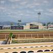 Preview of Del Mar Thoroughbred Club - Section Stretch Run Box 7 D Lvl 1 Seat View