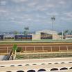 Preview of Del Mar Thoroughbred Club - Section Stretch Run Box 7 D Lvl 1 Seat View