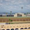 Aperçu de Del Mar Thoroughbred Club - Section Stretch Run Box 8 E Lvl 1 Seat View