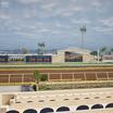 Preview of Del Mar Thoroughbred Club - Section Stretch Run Box 8 E Lvl 1 Seat View