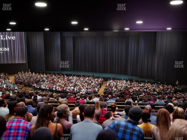 Dolby Live at Park MGM - Section 303 Seat View